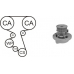 WPK-164203 AIRTEX Водяной насос + комплект зубчатого ремня