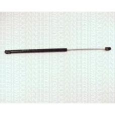 8710 24208 TRIDON Gas spring rear