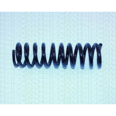 8750 2312 TRIDON Coil spring rear