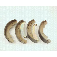 8100 10573 TRIDON Brake shoes