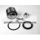 ABK1337 Automotive Bearings Комплект подшипника ступицы колеса