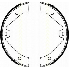 8100 29002 TRISCAN Комплект тормозных колодок, стояночная тормозная с