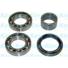 WBK-8503 KAVO PARTS Комплект подшипника ступицы колеса