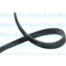 DMV-9034 KAVO PARTS Поликлиновой ремень