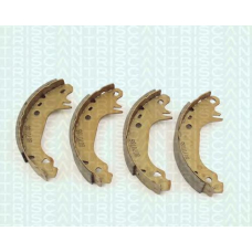 8100 38491 TRIDON Brake shoes