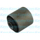 SCR-6553<br />KAVO PARTS