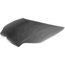 0970760 VAN WEZEL Капот двигателя