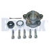 050505B BENDIX Комплект подшипника ступицы колеса