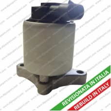 EGR009R DIPASPORT Клапан возврата ОГ