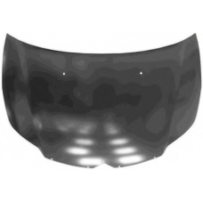 0970670 VAN WEZEL Капот двигателя