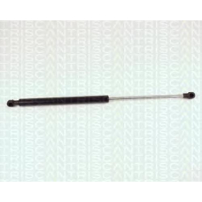 8710 25220 TRIDON Gas spring rear