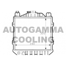 100977 AUTOGAMMA Радиатор, охлаждение двигателя