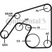 6PK2241D1 CONTITECH Поликлиновой ременный комплект