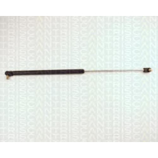 8710 67202 TRIDON Gas spring rear