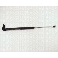 8710 50209 TRIDON Gas spring rear