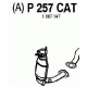 P257CAT