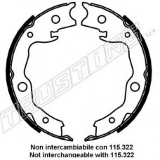 067.198 TRUSTING Комплект тормозных колодок, стояночная тормозная с