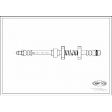 19025837 CORTECO Тормозной шланг