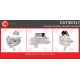 CST40317<br />CASCO