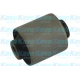 SCR-4081<br />KAVO PARTS