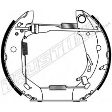 6209 TRUSTING Комплект тормозных колодок