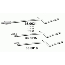 36.0031 ASSO Катализатор