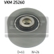 VKM 25260