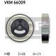 VKM 66009