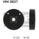 VKM 38027