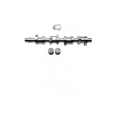 CP60255 CAMPRO Комплект распредвала