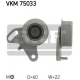 VKM 75033