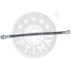 BSL-816