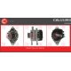 CAL15393