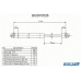 BGS10528 BUGIAD Газовая пружина, крышка багажник