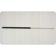 8710 6507 TRIDON Gas spring rear