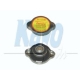 CRC-1001