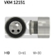VKM 12151