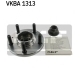 VKBA 1313
