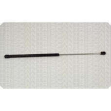8710 29232 TRIDON Gas spring rear