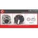 CAL15107