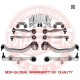 36814-SET-MS
