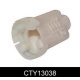 CTY13038