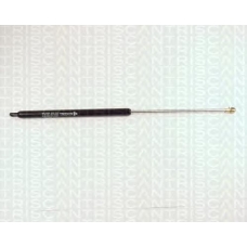 8710 2902 TRIDON Gas spring rear