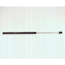 8710 25207 TRIDON Gas spring rear
