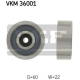 VKM 36001