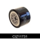 CIZ11731