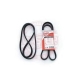 5PK1290-PCS-MS