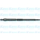 IGP-6503