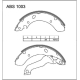ABS1003