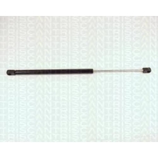 8710 25213 TRIDON Gas spring rear